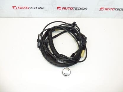 Окабеляване на антената Citroën C3 Pluriel 964515948002 6561Q8