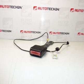 Притежател на Peuge Driver Passhout Peugeot 407 8975Ar
