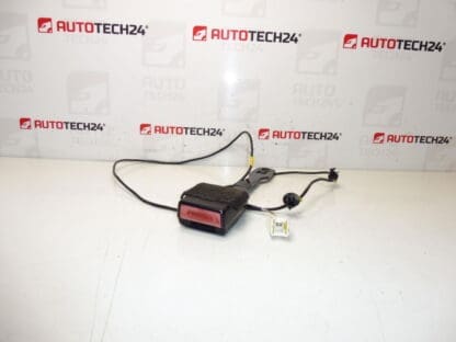 Притежател на Peuge Driver Passhout Peugeot 407 8975Ar