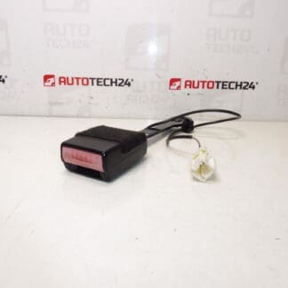 Притежател на пътнически паспорт Peugeot 407 8973pv