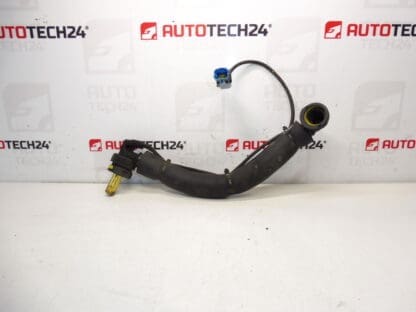 Свързване на Citroën Peugeot 1.8 16V и 2.0 16V 9659928480 1192Z6