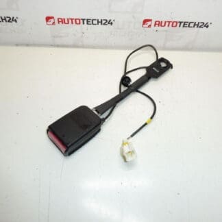 Peuge Hrage Pauge беше държач за заключване 308 8975L0