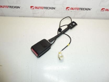 Peuge Hrage Pauge беше държач за заключване 308 8975L0