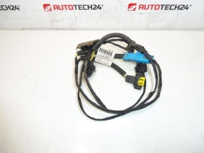 Citroen Peugeot 9653900780 6567lq